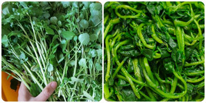 Tác hại của rau cải xoong ít người biết