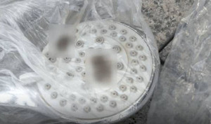 Ở khách sạn thấy mùi hôi thối trong phòng tắm, phát hiện thứ kinh dị ở vòi sen