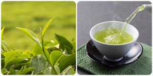 Tác hại của uống chè xanh sai cách