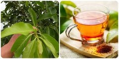 Tác hại của nước vối nếu dùng sai cách