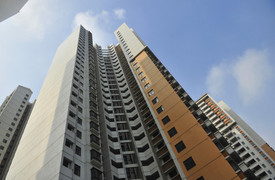 Thuê căn hộ xịn ở 1 tháng, 4 cô gái rụng trụi tóc vì chất độc hay có trong nhà mới