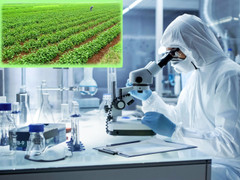 Hướng đi mới cho mỹ phẩm Việt: Sự kết hợp truyền thống và hiện đại