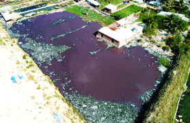 Bình Định: Một tháng sau lời hứa của chủ tịch huyện, môi trường vẫn bị 'bức tử'