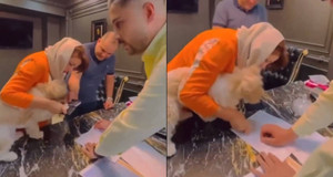 Không có người thừa kế, cặp vợ chồng bán nhà cho chó và bị bắt