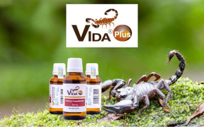 Vida Plus - Chiết xuất từ Nọc Bọ Cạp Xanh Cuba hỗ trợ cải thiện sức khỏe người bệnh ung bướu