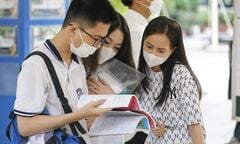 Điểm chuẩn ngành Sư phạm chiếm ngôi đầu bảng ở nhiều trường