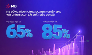Tăng trưởng tín dụng ổn định và an toàn với chính sách lãi suất ưu đãi của MB
