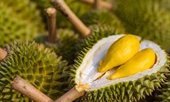 Vỏ quả sầu riêng: Tưởng vô dụng nhưng lại vô vàn lợi ích 