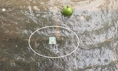 Mưa ra tiền thế này thì ngập mấy cũng chịu