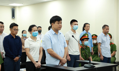 Ông Nguyễn Đức Chung: Nhân viên Công ty Cây xanh thức đêm trồng cây suốt 3 năm