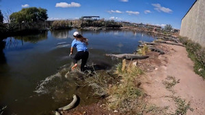 Người phụ nữ tay không bắt cá sấu 