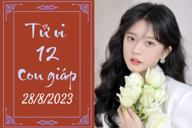 Tử vi vui 12 con giáp hôm nay ngày 28/8/2023: Mùi thông minh, Sửu năng động