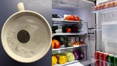 Tại sao nên để cốc nước đá có đồng xu bên trên trong tủ lạnh khi đi chơi xa?