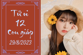 Tử vi vui 12 con giáp hôm nay ngày 29/8/2023: Hợi thay đổi, Dần thiếu hụt