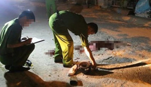 Nam thanh niên ở Hải Phòng bị người họ hàng đâm thiệt mạng