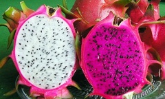 Nên ăn thanh long trắng hay thanh long đỏ?