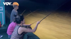 Nở rộ du lịch tự phát 'lên đảo hoang, câu mực đêm' trên vịnh Hạ Long