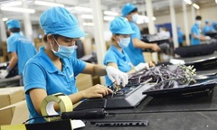 Hơn 14.000 doanh nghiệp thành lập mới trong tháng 8
