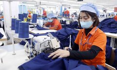 Tỉnh nào có số lượng khu công nghiệp nhiều nhất cả nước?