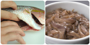 Có nên ăn ruột cá?