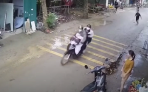 Cả khu phố bảo nhau chặn xe bò, lập hàng rào vây bắt 'cẩu tặc'