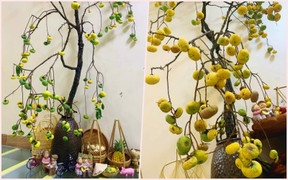 Chị em 'sốt xình xịch', thú chơi cành thị cắm bình lên ngôi