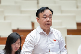 ĐBQH: 'Nghị quyết thì thuộc làu làu nhưng chỉ trích những câu mình cần'