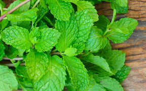 Công dụng tuyệt vời của rau thơm