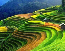 Tỉnh thành nào dân cư thưa thớt nhất Việt Nam?