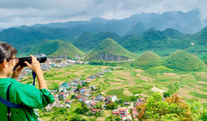 Có nên tách đoàn khi đi du lịch theo tour?