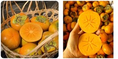 Những người 'đại kỵ' với hồng giòn