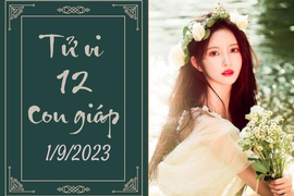 Tử vi vui 12 con giáp hôm nay ngày 1/9/2023: Sửu kiên nhẫn, Dần độc đáo