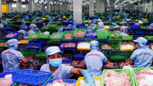 Tròn 60 năm quan hệ Việt Nam- Ai Cập: Mục tiêu thương mại 1 tỷ USD trong tầm tay