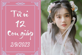 Tử vi vui 12 con giáp hôm nay ngày 2/9/2023: Hợi vượng phát, Thìn khó khăn