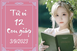 Tử vi vui 12 con giáp hôm nay ngày 3/9/2023: Tuất xuất sắc, Mão tính toán