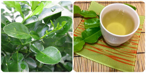 Uống nước lá chanh có tốt không?