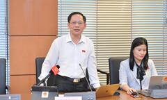 Cấp giấy chứng nhận quyền sử dụng đất, tránh hợp thức hóa sai phạm