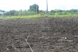 Đang sửa chữa đường dây, 2 công nhân điện lực ở Phú Yên thương vong