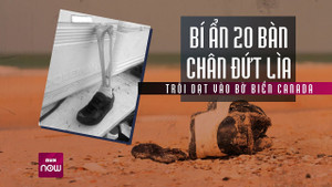 Bí ẩn hơn 20 bàn chân đứt lìa dạt vào bờ biển Canada