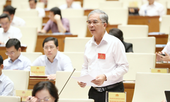 Cơ chế đặc thù được TP.HCM, Cần Thơ và Hải Phòng thực hiện thế nào?