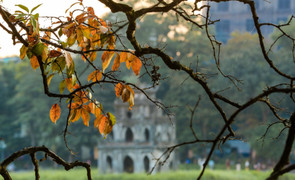 Những điều nên làm ở Hà Nội cuối thu