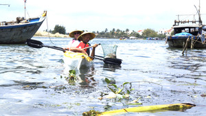Hai điểm du lịch ở Quảng Nam 'nói không' với rác thải