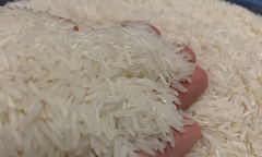 Giá gạo xuất khẩu giảm liên tiếp, trong nước neo cao, doanh nghiệp dừng mua bán