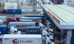 Hàng trăm container chuối, mít, sầu riêng bất ngờ bị 'tuýt còi' xuất Trung Quốc