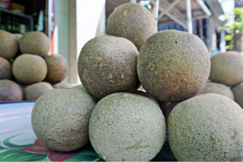 Về miền Tây nhớ tìm thử loại quả bổ ra đen sì, nhưng làm món nào cũng mê