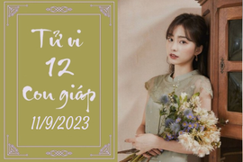 Tử vi vui 12 con giáp hôm nay ngày 11/9/2023: Thân chăm chỉ, Mùi khéo léo 