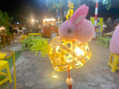 Cận cảnh chiếc đèn lồng trở thành hot trend, hút hồn giới trẻ mùa Trung thu 2023