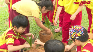 Lớp học kết hợp trải nghiệm xanh ở TP.HCM