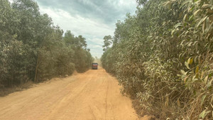 Đường hơn 8 tỷ ‘treo’ vì doanh nghiệp chiếm đất khai thác khoáng sản sai phép