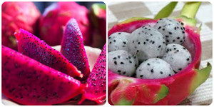 Loại quả rẻ tiền, dễ tìm ở Việt Nam, giúp ngăn ngừa ung thư và kéo dài tuổi thọ